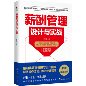 正版新书]薪酬管理设计与实战孙震 著9787562970514