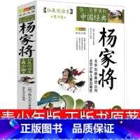 [正版]杨家将书 原著青少版杨家将演义全传北京少年儿童出版社古典小说人民儿童文学三年级四年级五年级六年级课外书必读文学