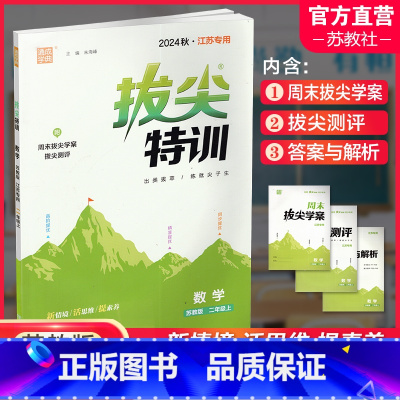 数学拔尖特训 苏教版 二年级上 [正版]2024秋 拔尖特训 数学 苏教版 二年级上 2上 同步提优训练专项练习一课一练
