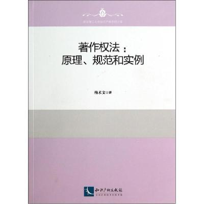 正版新书]著作法:原理、规范和实例梅术文9787513028684