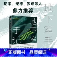 地下室手记 [正版]地下室手记 陀思妥耶夫斯基著 豆瓣2020读书榜经典类 9.5分高口碑译文 俄国文学经典之作 外国