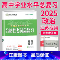 2025 政治 大试卷 [正版]2025南方凤凰台江苏省普通高中合格性考试学业水平测试总复习导学案大试卷综合模拟真题测试