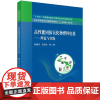 高性能固体氧化物燃料电池——理论与实践 韩敏芳科学出版社9787030818942正版书籍