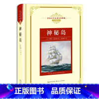 神秘岛 [正版]世界文学名著名译典藏 全译插图本 大卫科波菲尔飘猎人笔记基督山伯爵现当代文学名著书籍排行榜高初中生课外阅