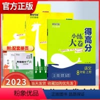 数学[苏科版] 七年级上 [正版]2024小练大卷得高分语文数学英语人教苏科译林版初中生七7八8九9年级上下册同步练习册