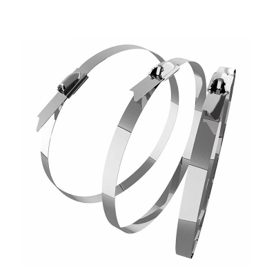 万梓 不锈钢扎带 12*850mm 根