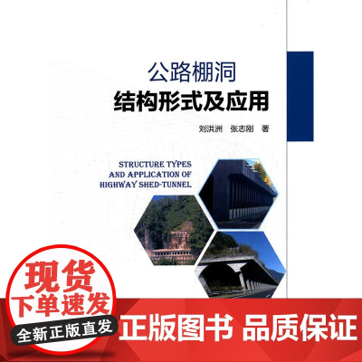 公路棚洞结构形式及应用