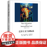 D 泛非主义与国际法 阿卜杜勒卡维 法律出版社 非洲联盟体制下的泛非主义 法学理泛