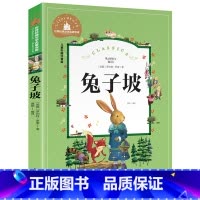 [彩图注音版]兔子坡 [正版]稻草人书 彩图大字注音版叶圣陶书三年级的课外书带拼音故事书少儿读物儿童文学名著小学生课外阅