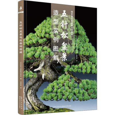 醉染图书五针松盆景造型实例图解9787570607242