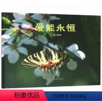 爱能永恒 [正版]孙俪儿童绘本 全套9册2-3岁 种子去哪儿香喷喷的早饭系列3岁儿童书籍0-3-4-5-6-7岁宝宝幼儿