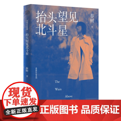 春树作品系列 抬头望见北斗星 春树/著 青春 散文 小说 经典再版 广西师范大学出版社