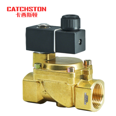 卡西斯顿 水用电磁阀 G2 个