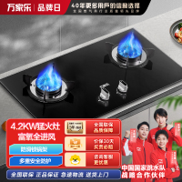 万家乐 AY3液化气钢化玻璃燃气灶具双眼灶 4.2KW一级能效天然气 3D旋直火