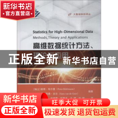 正版 高维数据统计方法、理论与应用