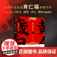 黄金岁月(上下2册) 漠野萧成 作品 官场反腐小说 正道 黄金岁月 中国文学小说 事业奋斗 社会进化 畅谈社会中坚力量的