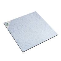 鑫双博白聚晶防静电陶瓷地板 600*600*40mm/平方米