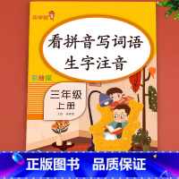看拼音写词语 三年级下 [正版]三年级看拼音写词语上册 人教版上 小学同步练习试卷拼读练习册 生字拼音注音训练专项训练语