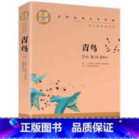 青鸟 [正版]青鸟书 世界文学名著书籍 经典原著外国小说 高中生初中学生小学生课外阅读书籍小说原版 四年级五年级 名家名