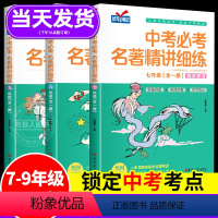 七八九年级-中考必考名著精讲细练 全国通用 [正版]2024新版中考必考名著精讲细练初中名著导读考点精练七八九年级一本通