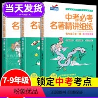 七八九年级-中考必考名著精讲细练 全国通用 [正版]2024新版中考必考名著精讲细练初中名著导读考点精练七八九年级一本通