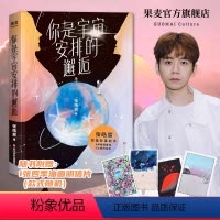 [正版]你是宇宙安排的邂逅 张皓宸 短篇故事集 9种相遇重逢 9次感同身受 短篇小说 青春文学 果麦出品