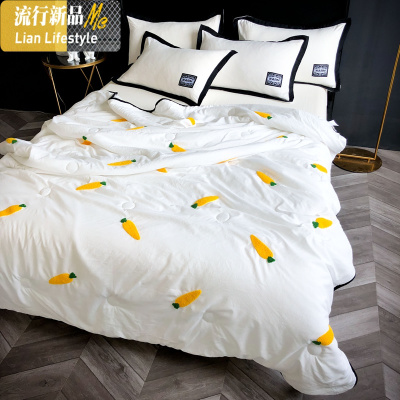 ins水洗棉棉夏被空调被夏凉被可水洗简约单双人夏天薄被子 三维工匠