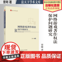 法学著作 网络游戏著作权法保护问题研究 曾晰 著 法天下学术文库 中国政法大学出版社