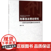 刑事违法理论研究