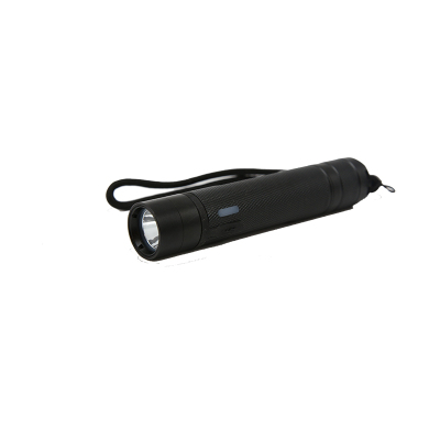 赛时工控(SHSSGK) SKSZD8-7201 微型强光防爆手电筒 (单位:个) 黑