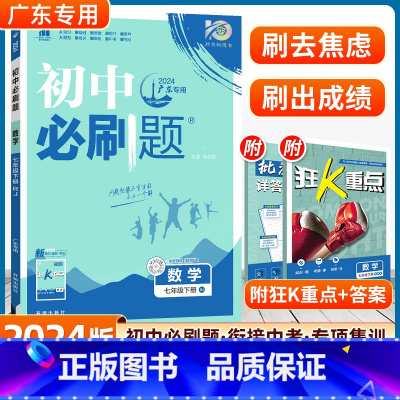 数学 人教版-广东专用 [正版]2024版初中七年级下册数学人教版同步训练初一下册北师湘教沪科数学7年级七下练习册全套试