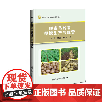 脱毒马铃薯规模生产与经营