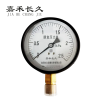嘉禾长久 不锈钢膜盒压力表检测定制型 YE100BF 块