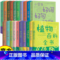地理 [正版]少年儿童百科全书 32册 彩图中小学生课外阅读 非注音版 6-9-12岁阅读科普启蒙 学校阅读亲子阅读十万