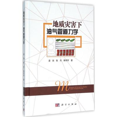 地质灾害下油气管道力学