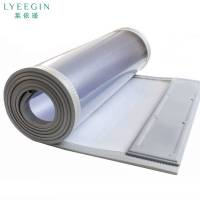 莱依瑾 LYEEGIN 门帘 2mm厚定制尺寸/平方米