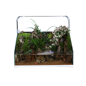 金晶水陆缸水陆鱼缸 植物造景缸 微景观斜口缸 乌龟缸超白缸