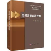 音像坚硬顶板岩层控制于斌,霍丙杰著