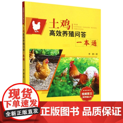 土鸡高效养殖问答一本通/视频图文学养殖丛书 李鹏 编 9787109317901 中国农业出版社