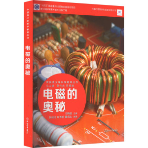 中国青少年科学教育丛书:电磁的奥秘