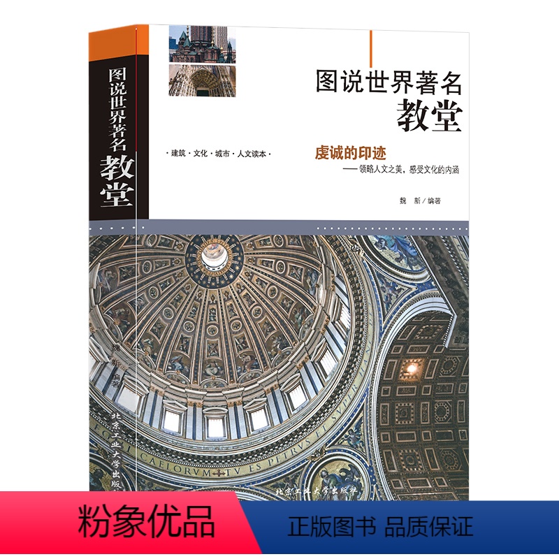[正版]图说世界著名教堂书籍教堂建筑的兴起与中世纪欧洲宗教史有着密切的关系建筑文化城市人文读本感受文化的内涵北京工业大