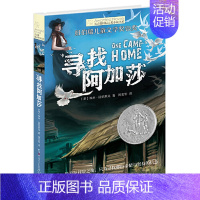 国际大奖小说-寻找阿加莎 [正版]后的夏天长青藤国际大奖小说书系全套五六年级初中课外阅读文学故事10岁11岁12岁儿童名