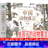 给孩子的动物寓言 三年级版 [正版]让太阳长上翅膀(诗集)金波著三年级下册必读课外书江苏凤凰少年儿童出版社 让太阳长出翅