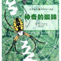 正版新书]神奇的蜘蛛/亲近自然奇妙的小动物(美)琳达·格拉泽|译