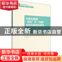正版 内蒙古能源“双控”与“双碳”目标协同效应研究 朱守先//张