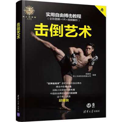 醉染图书击倒艺术9787302505204