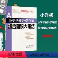 [正版]小学毕业升学夺冠综合知识大集结 小学科学自然政治历史地理文学国学小常识专项知识大全辅导小学升初中考试考前辅导书