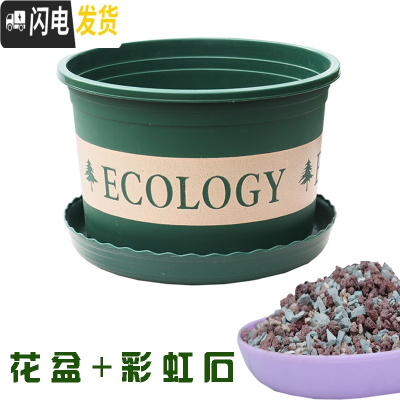 三维工匠塑料玫瑰盆栽花肉肉绿萝月季专用加伦树脂家用特大号超大加仑花 [3个盆]+彩虹石2斤 矮胖7.6L(口径2花盆容器