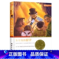 [正版]五毛钱的愿望:国际大奖小说(升级版) 三四五六年级中小学生课外小说文学阅读读物 7-10-12岁青少年少儿童故