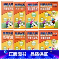 [老师推荐]入门级全套练习(A+B)全8本 小学通用 [正版]新概念英语青少版 入门级A+入门级B starter A